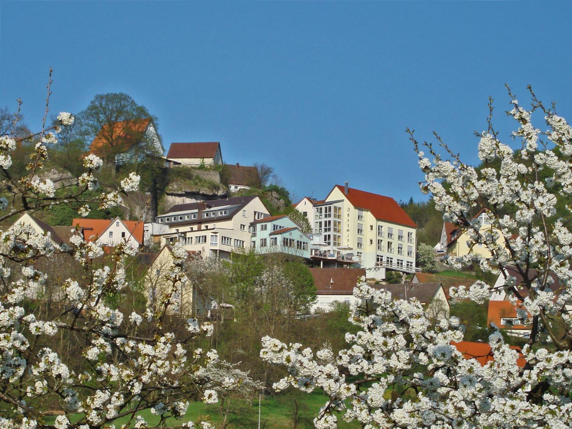 Berggasthof Hotel Igelwirt Шнайттах Екстер'єр фото